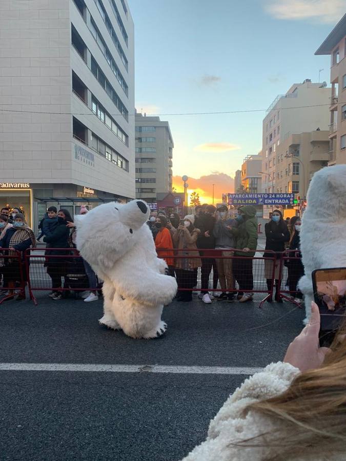 Los memes de la Cabalgata de Reyes Magos de Cádiz: un oso polar perjudicado da la vuelta al mundo
