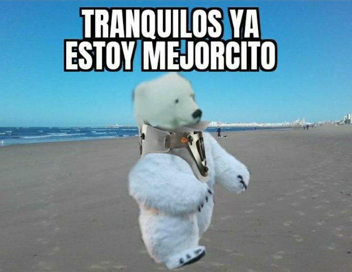 Los memes de la Cabalgata de Reyes Magos de Cádiz: un oso polar perjudicado da la vuelta al mundo