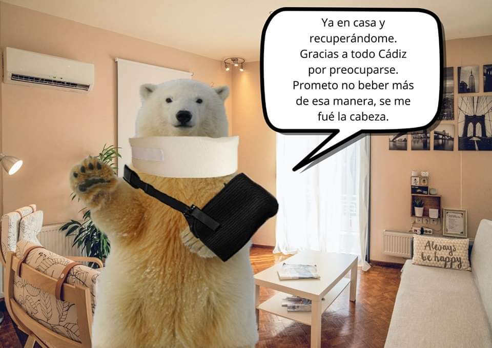 Los memes de la Cabalgata de Reyes Magos de Cádiz: un oso polar perjudicado da la vuelta al mundo