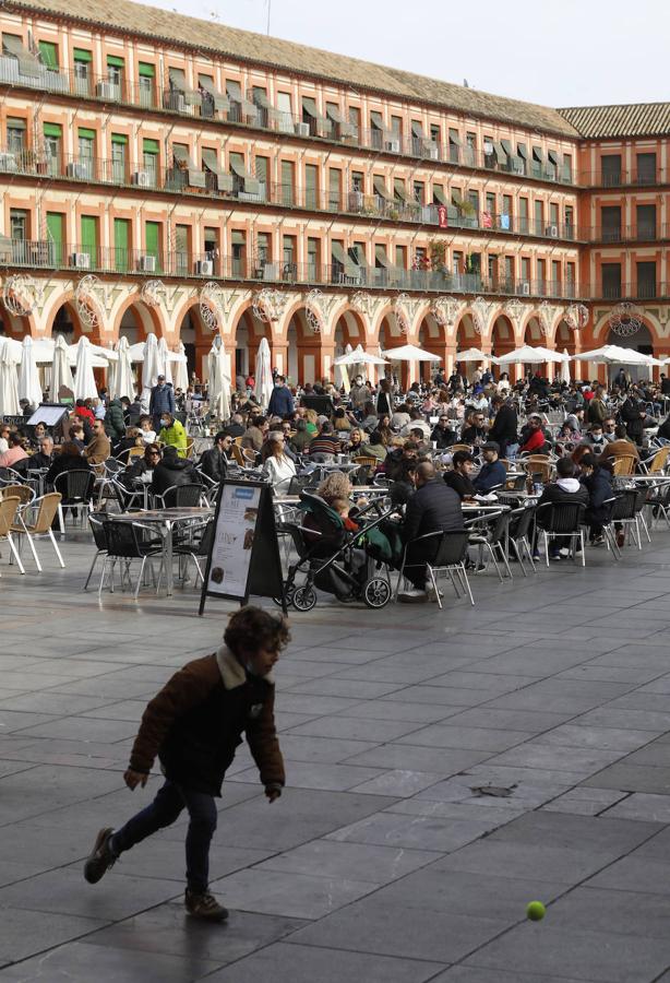 La plaza de la Corredera de Córdoba, en imágenes (I)