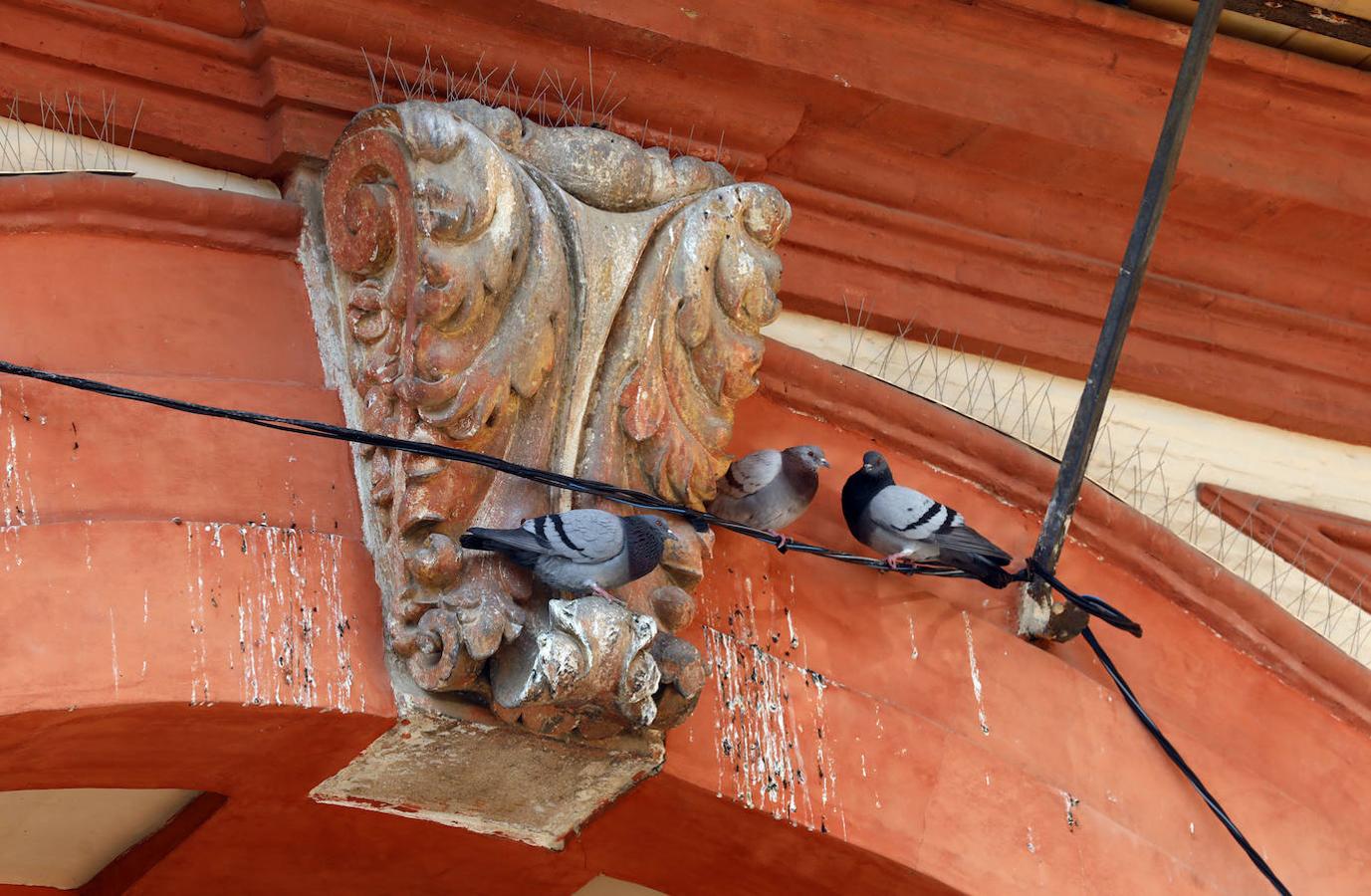 La plaza de la Corredera de Córdoba, en imágenes (II)