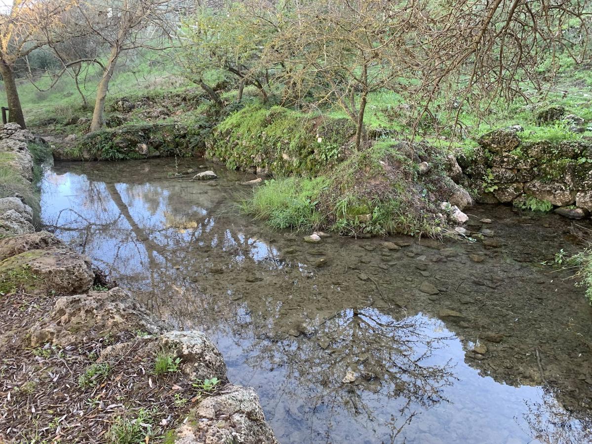 Las fuentes y manantiales de la Subbética de Córdoba, en imágenes