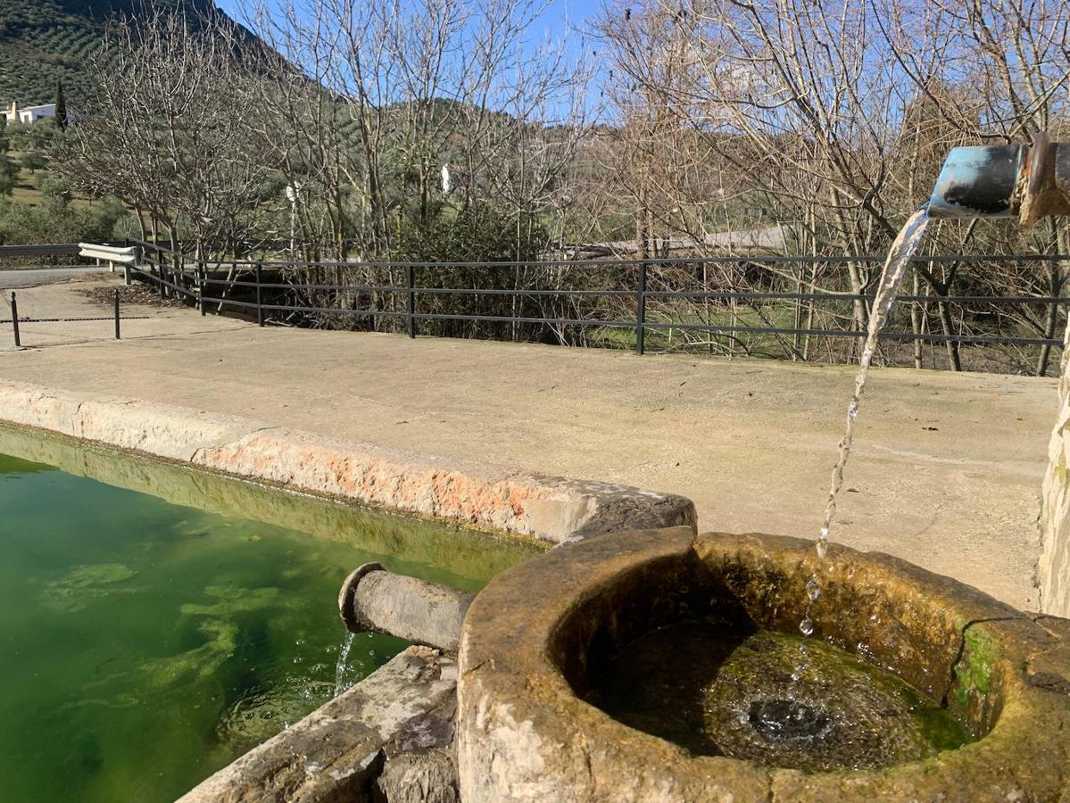 Las fuentes y manantiales de la Subbética de Córdoba, en imágenes