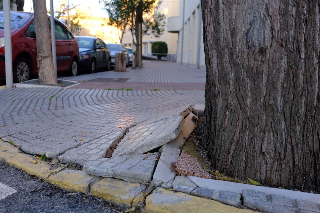 Fotos: El deterioro y abandono de Cádiz