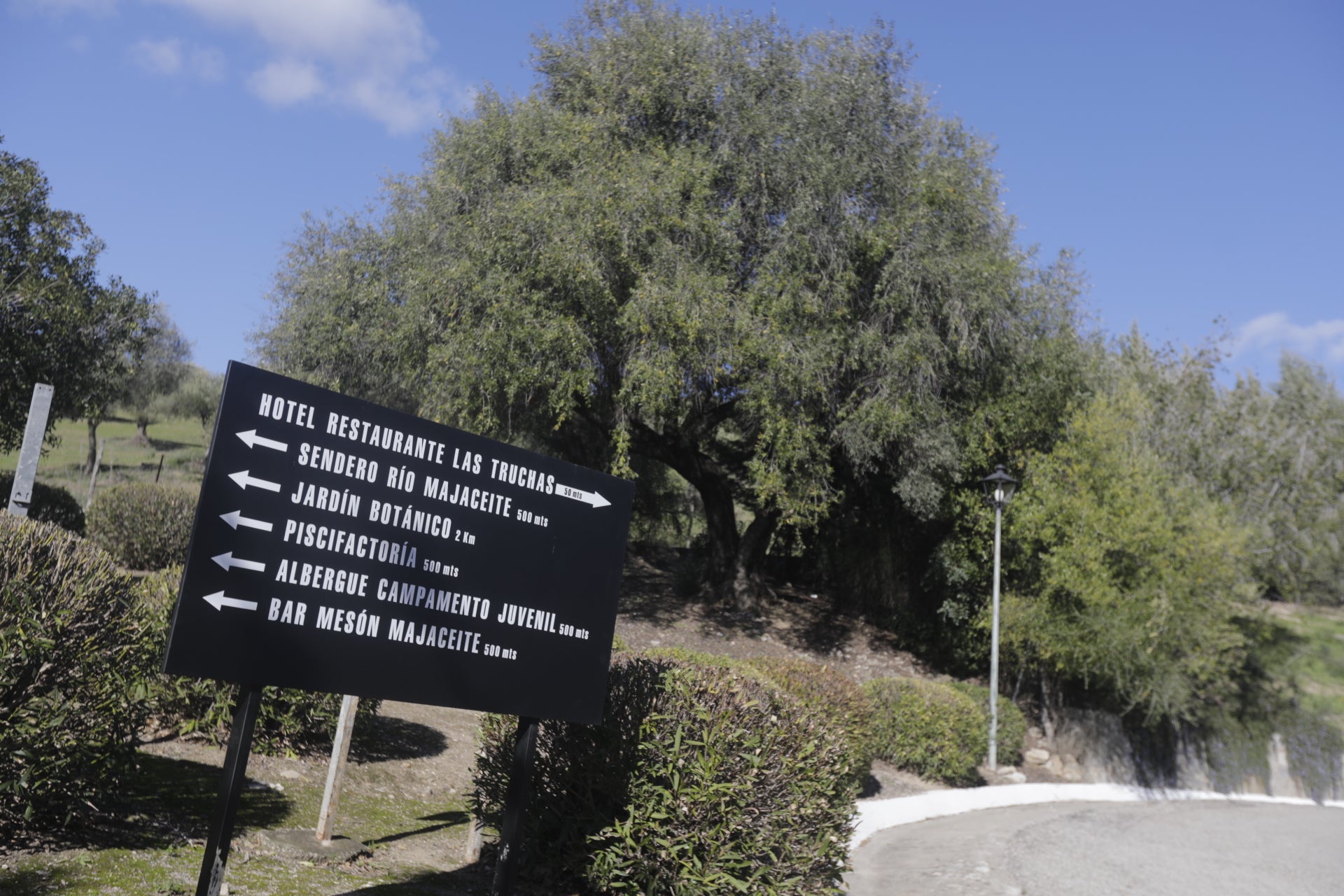 En imágenes: Conoce la localidad serrana de El Bosque