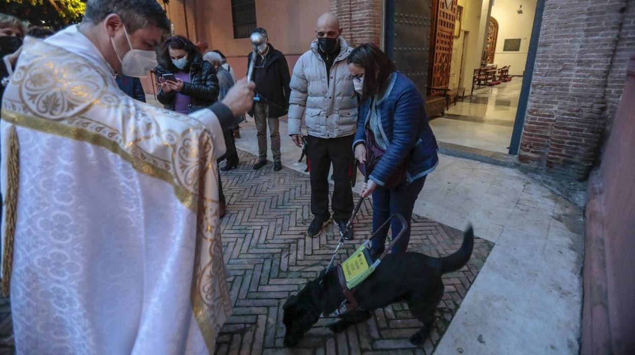 Bendición de animales en la parroquia de San Vicente por el día de San Antón