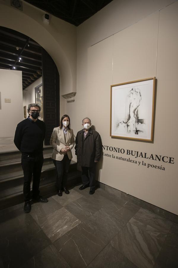 La exposición &#039;Donación Antonio Bujalance&#039; en Córdoba, en imágenes