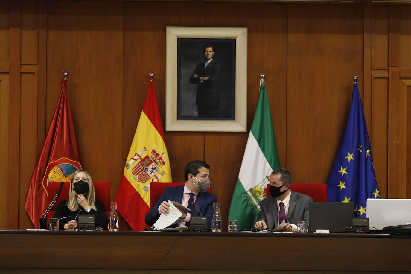 El Pleno del Ayuntamiento de Córdoba, en imágenes