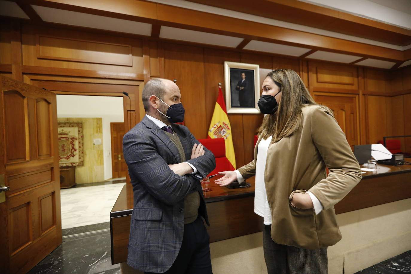 El Pleno del Ayuntamiento de Córdoba, en imágenes