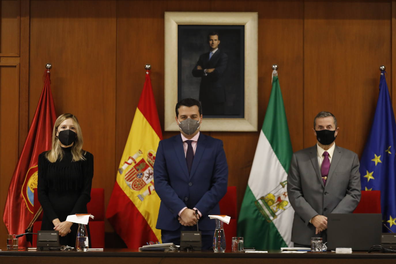 El Pleno del Ayuntamiento de Córdoba, en imágenes