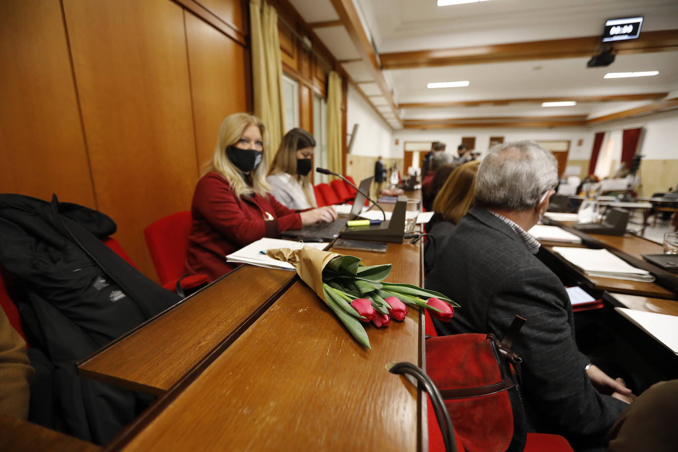 El Pleno del Ayuntamiento de Córdoba, en imágenes