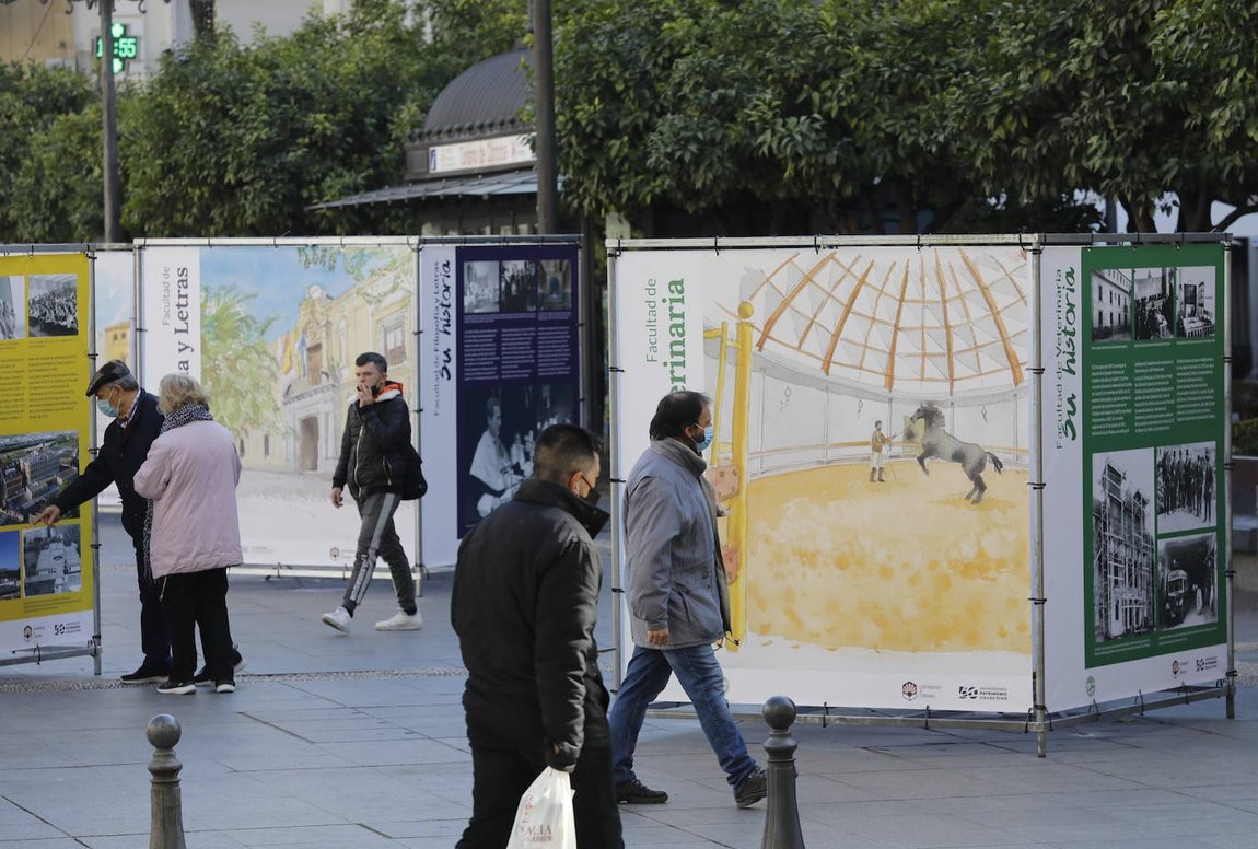 La exposición del 50 aniversario de la Universidad de Córdoba, en imágenes