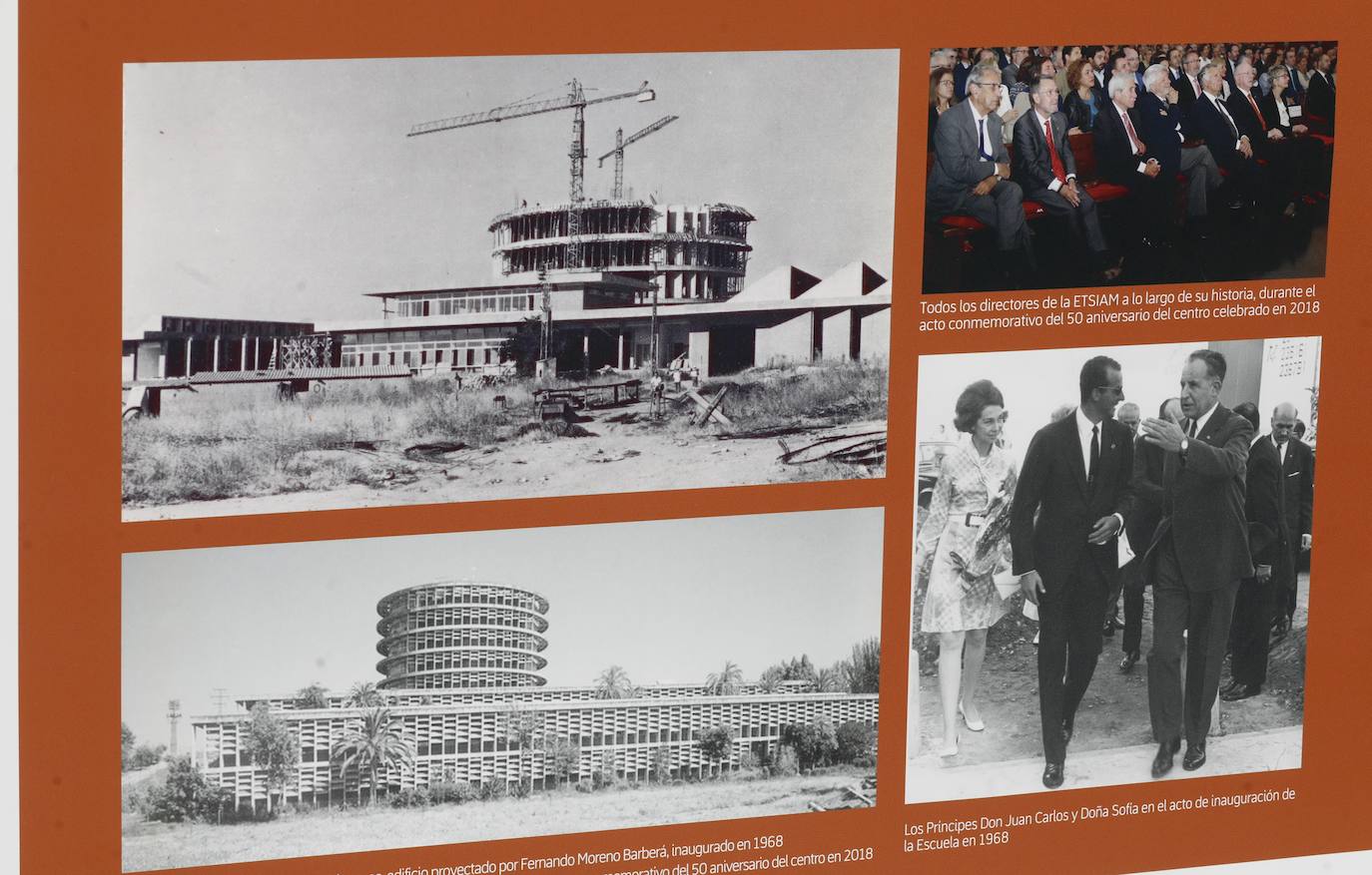 La exposición del 50 aniversario de la Universidad de Córdoba, en imágenes