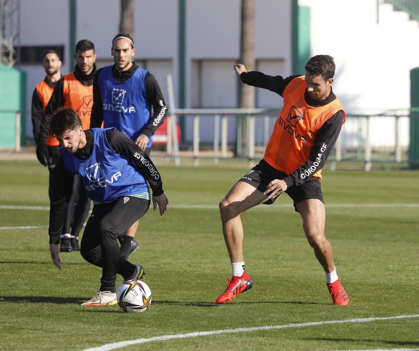 La primera jornada del fichaje Dragisa Gudelj con el Córdoba CF, en imágenes