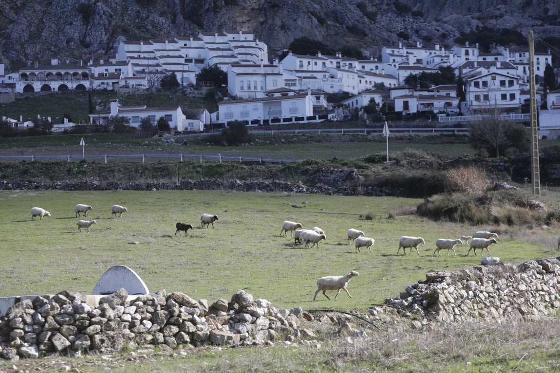 Fotos: las mejores imágenes de Benaocaz