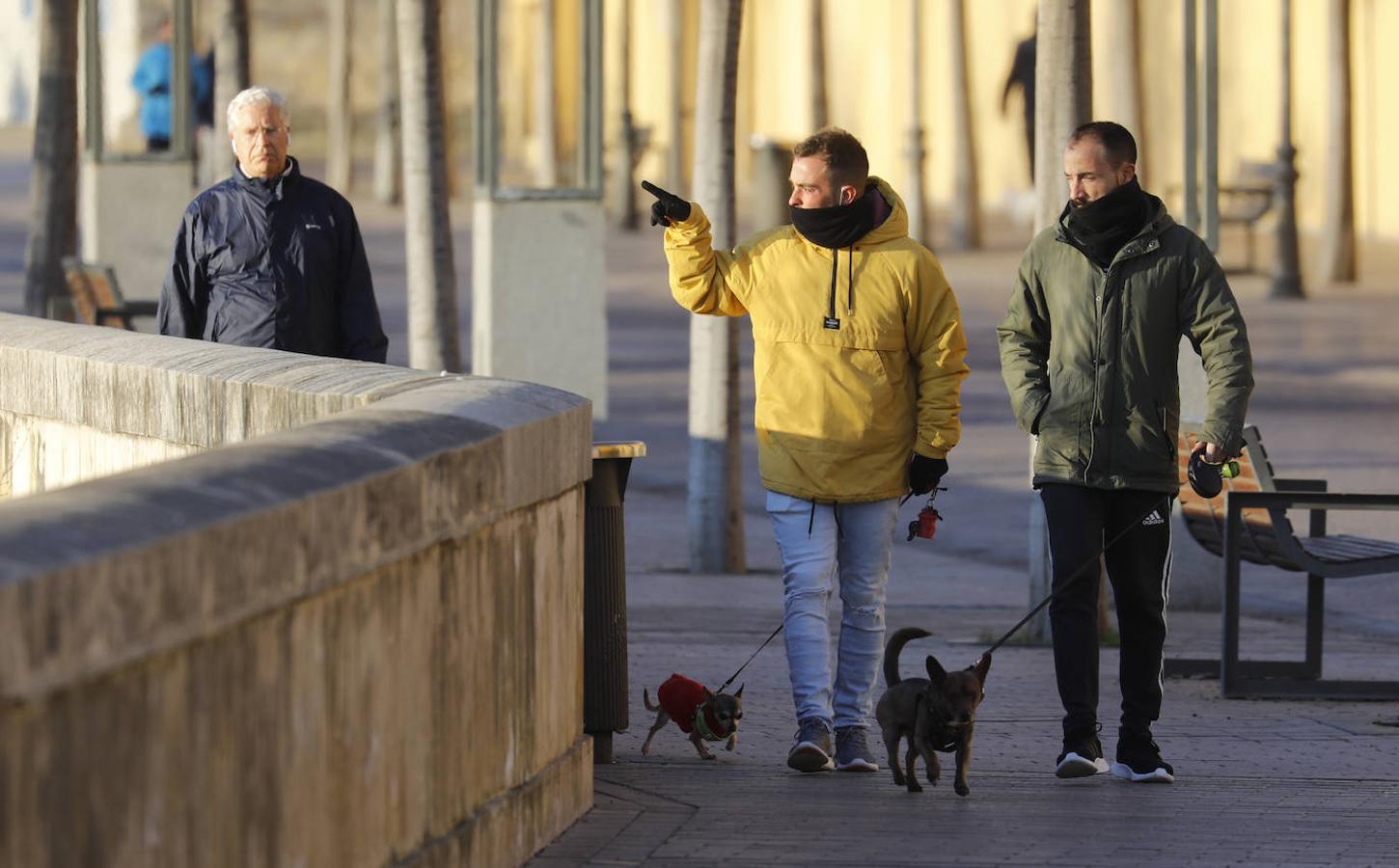 El frío invernal de enero en las calles de Córdoba, en imágenes