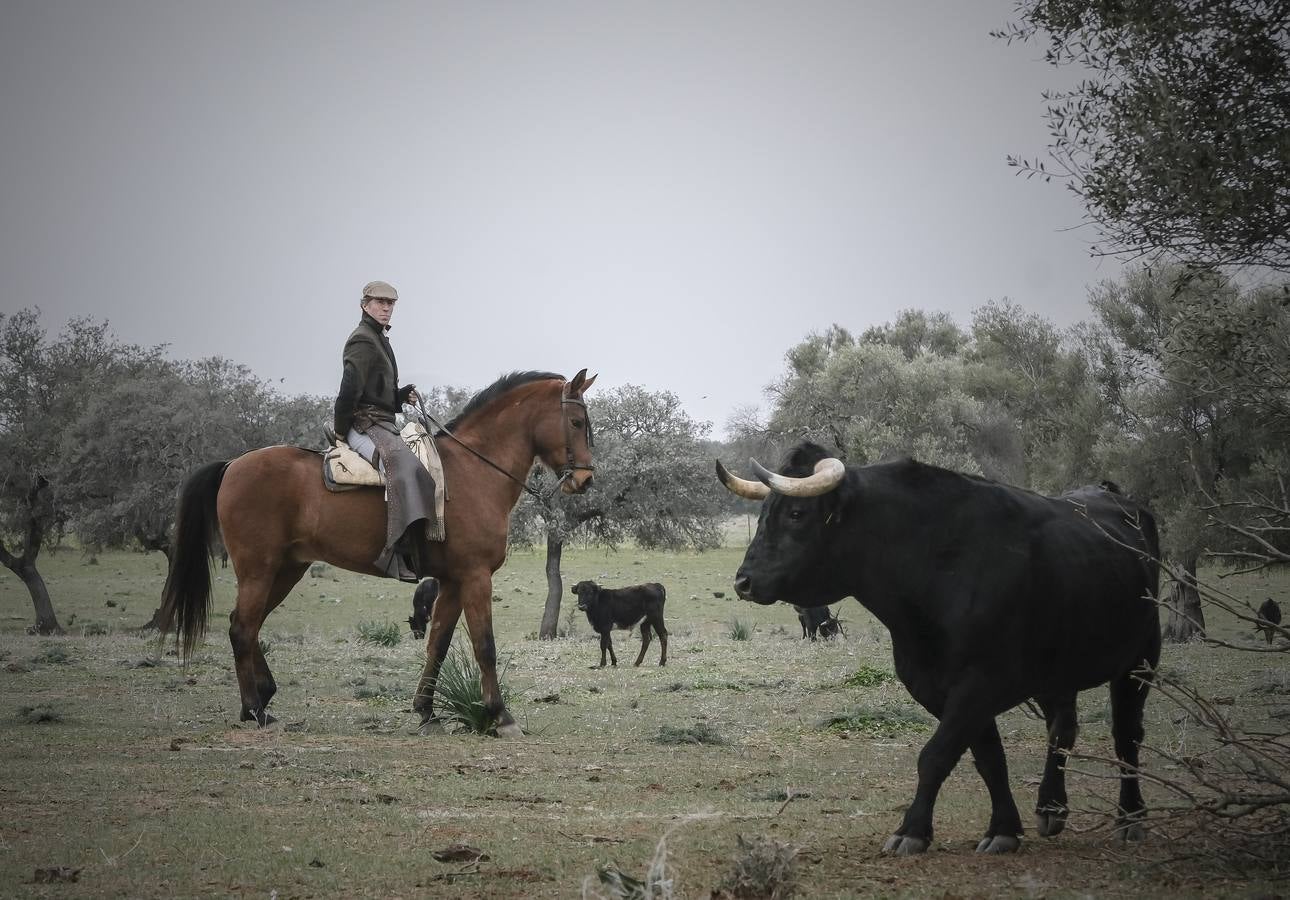 En imágenes, el torero Manuel Escribano en un tentadero en las fincas de Miura