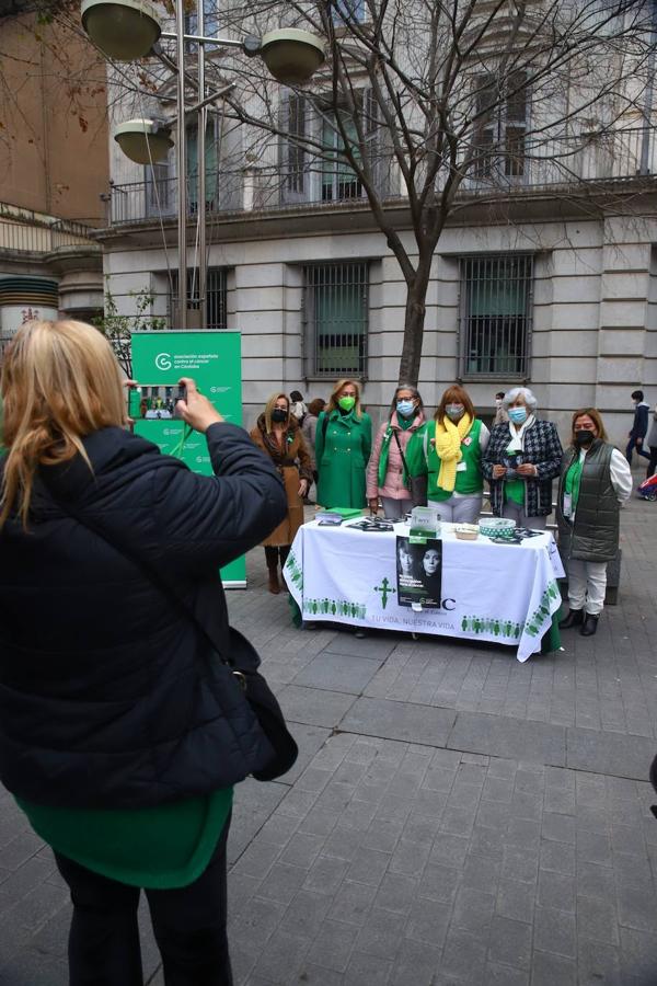 Los actos del día contra el cáncer en Córdoba, en imágenes