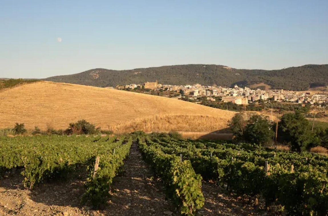 La casa de diseño que Airbnb ofrece gratis durante un año. Dicho contrato comenzará el 30 de junio de 2022 y Airbnb correrá con los gastos de los vuelos y traslados. La persona podrá volver a su lugar de origen cuando lo desee, siempre y cuando deje a un coanfitrión al cargo de la gestión de la casa para que se pueda seguir alojando a huéspedes.