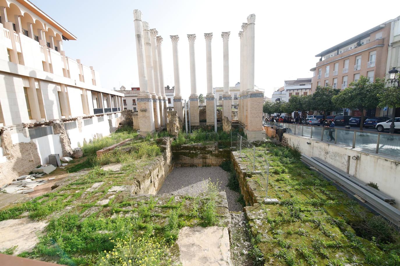 El descuido del Templo Romano de Córdoba, en imágenes