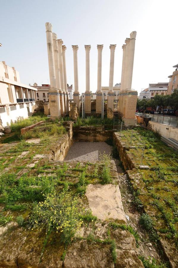 El descuido del Templo Romano de Córdoba, en imágenes