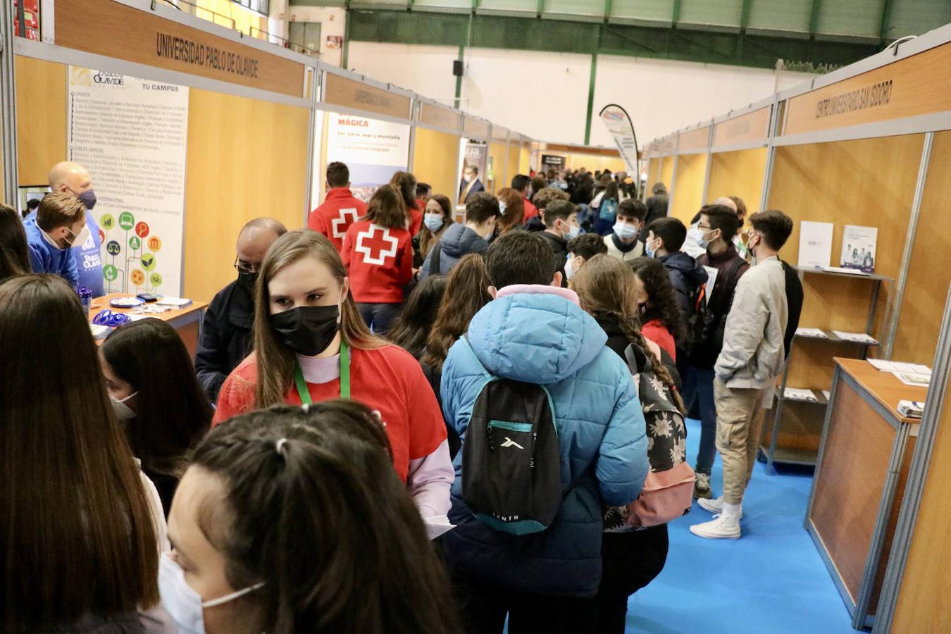 El Salón del Estudiante de Lucena, en imágenes