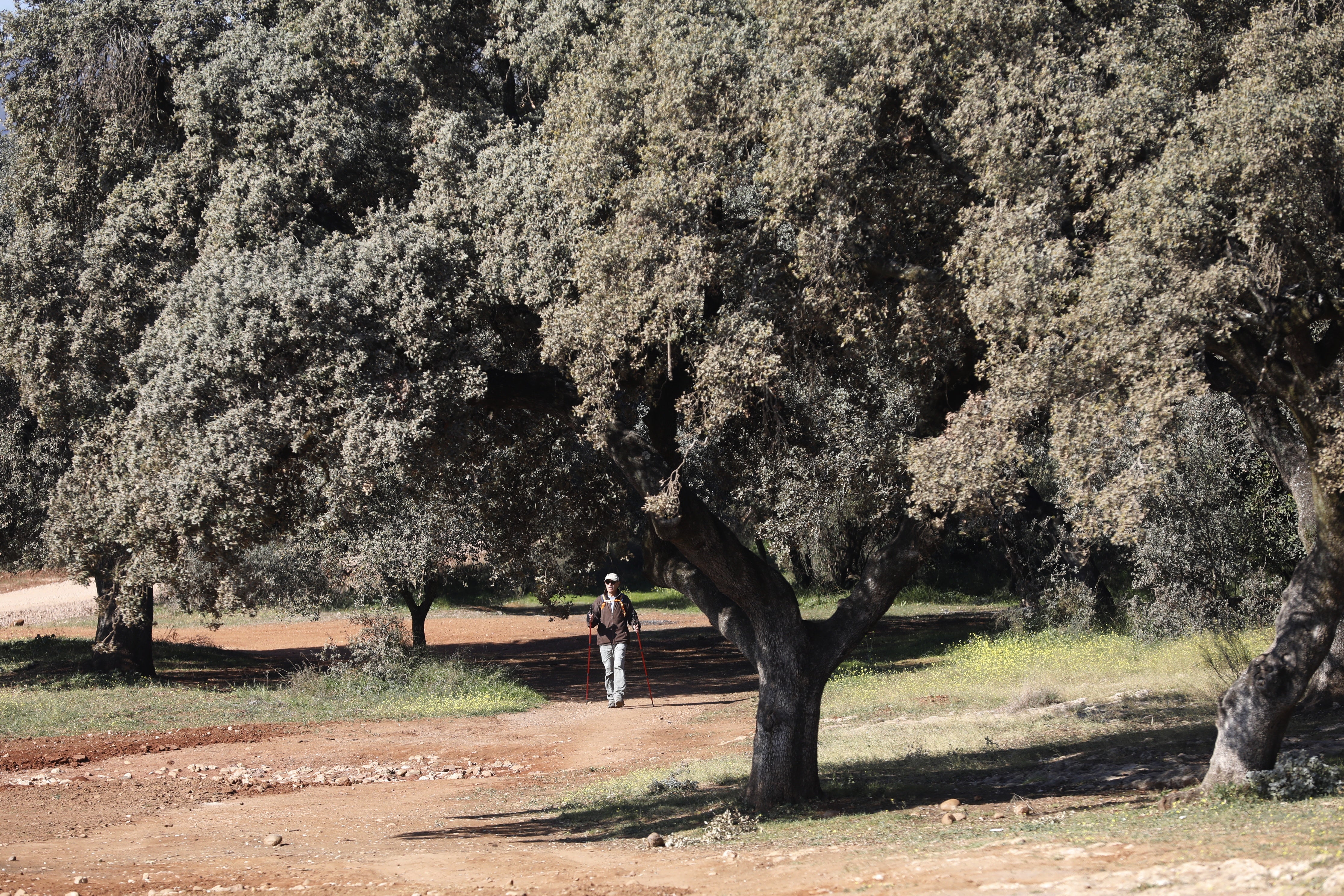 El parque periurbano de El Patriarca de Córdoba, en imágenes