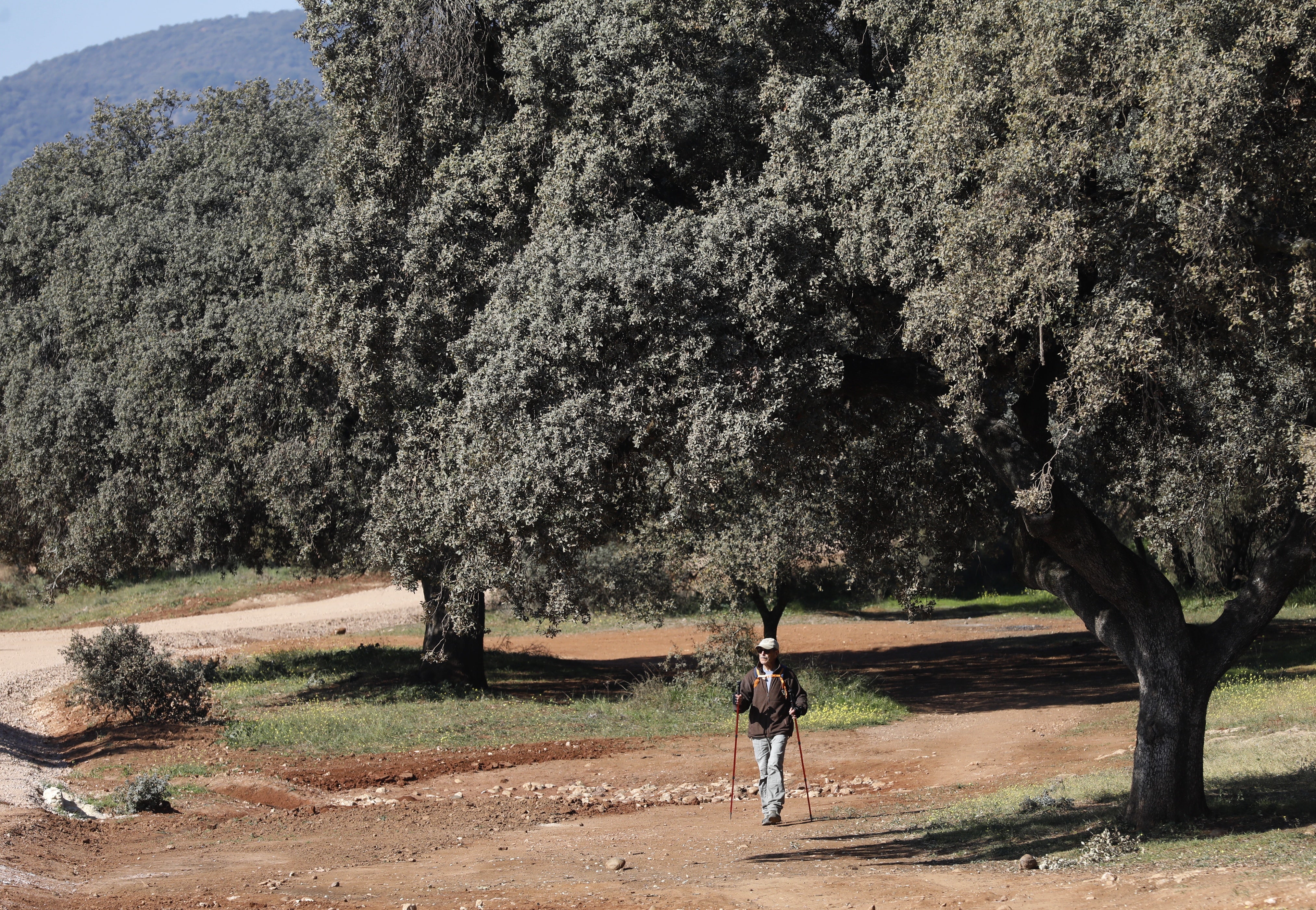 El parque periurbano de El Patriarca de Córdoba, en imágenes