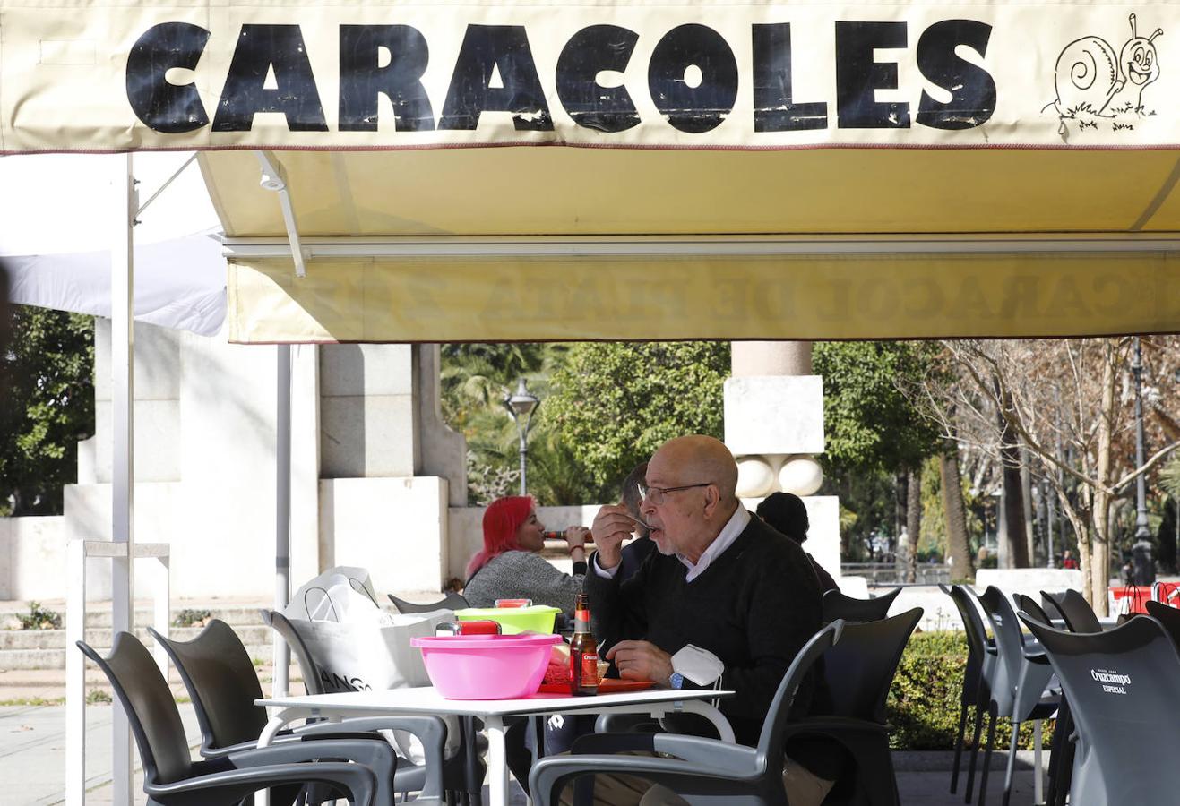 El inicio de la temporada de caracoles en Córdoba, en imágenes