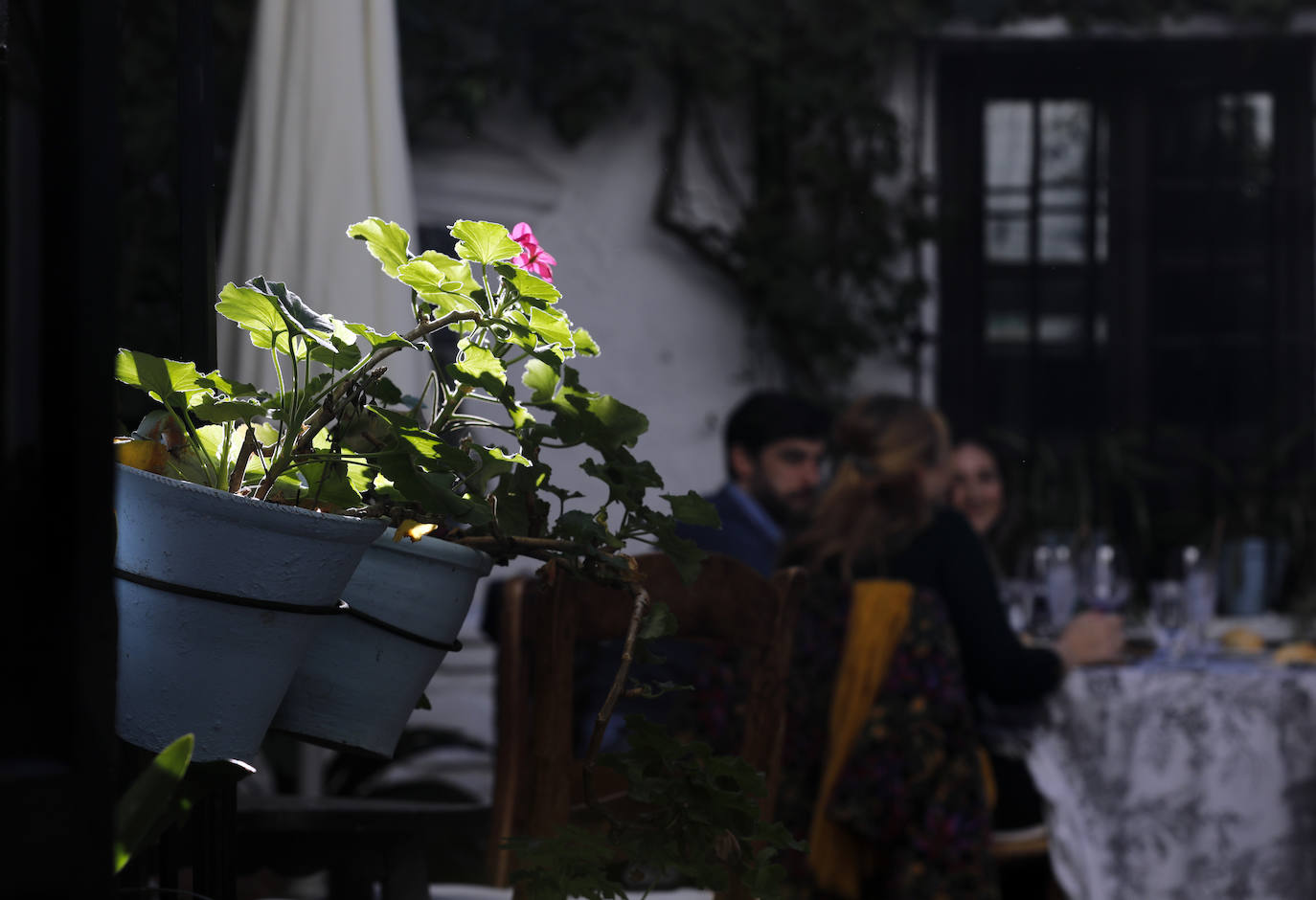 En imágenes, los patios de Bodegas Campos en Córdoba y la casa de Badanas, 15