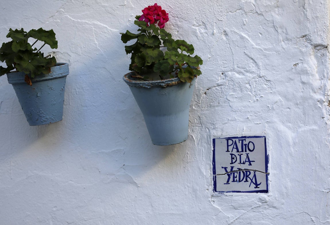 En imágenes, los patios de Bodegas Campos en Córdoba y la casa de Badanas, 15