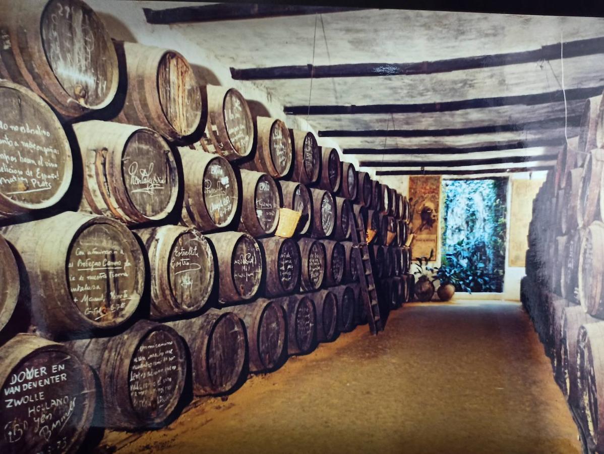 En imágenes, los patios de Bodegas Campos en Córdoba y la casa de Badanas, 15