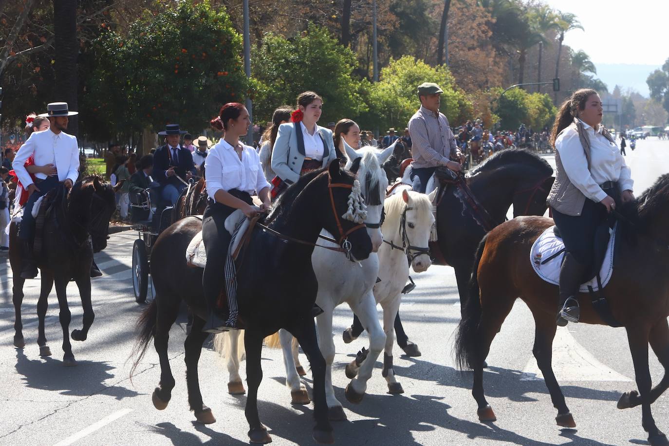 La Marcha Hípica por el día de Andalucía en Córdoba, en imágenes