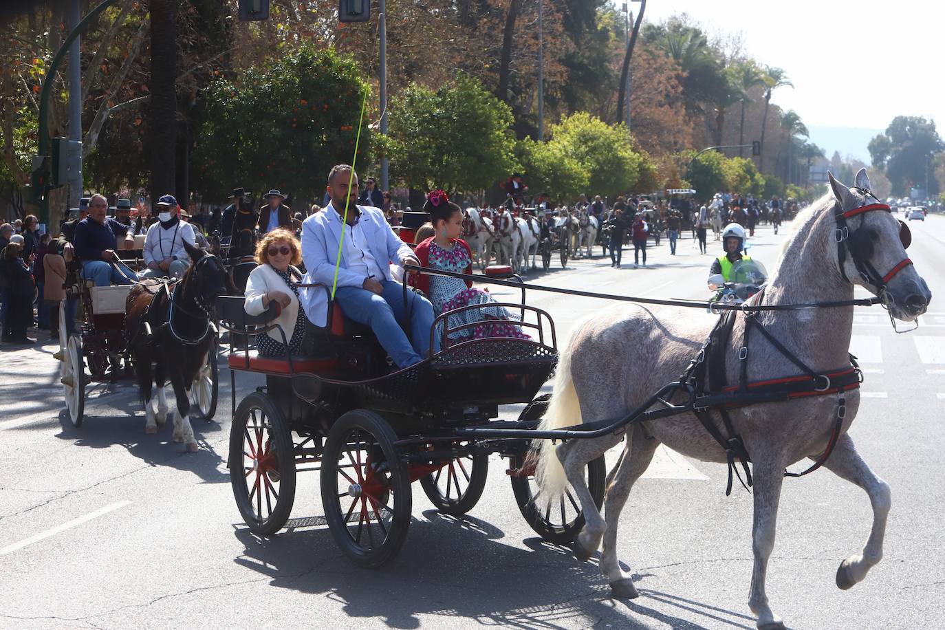 La Marcha Hípica por el día de Andalucía en Córdoba, en imágenes