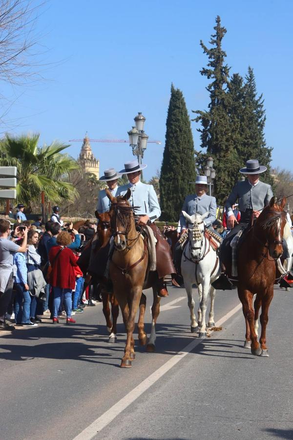 La Marcha Hípica por el día de Andalucía en Córdoba, en imágenes