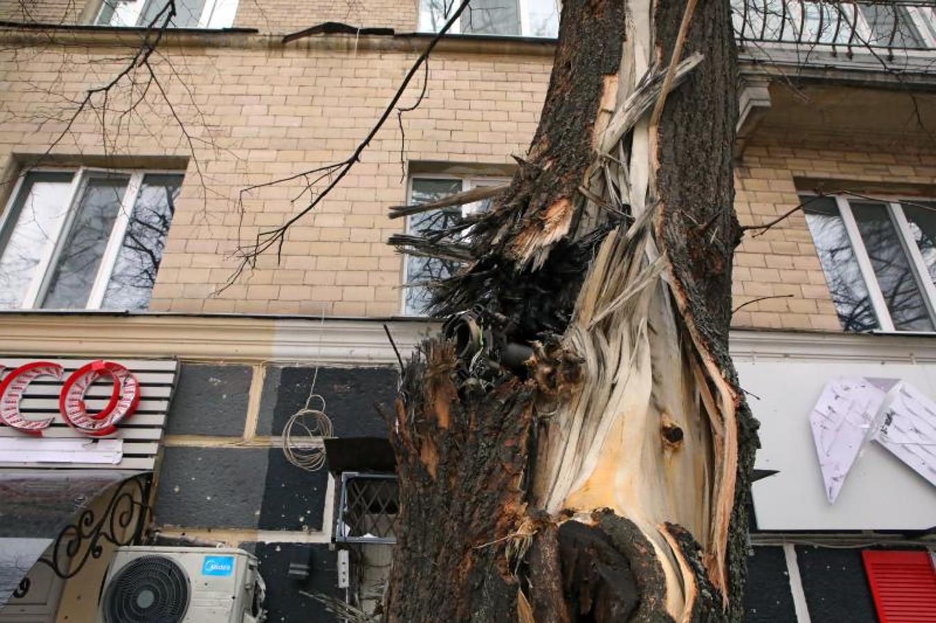 Restos de una proyéctiles clavados en el tronco de un árbol en Járkov. 