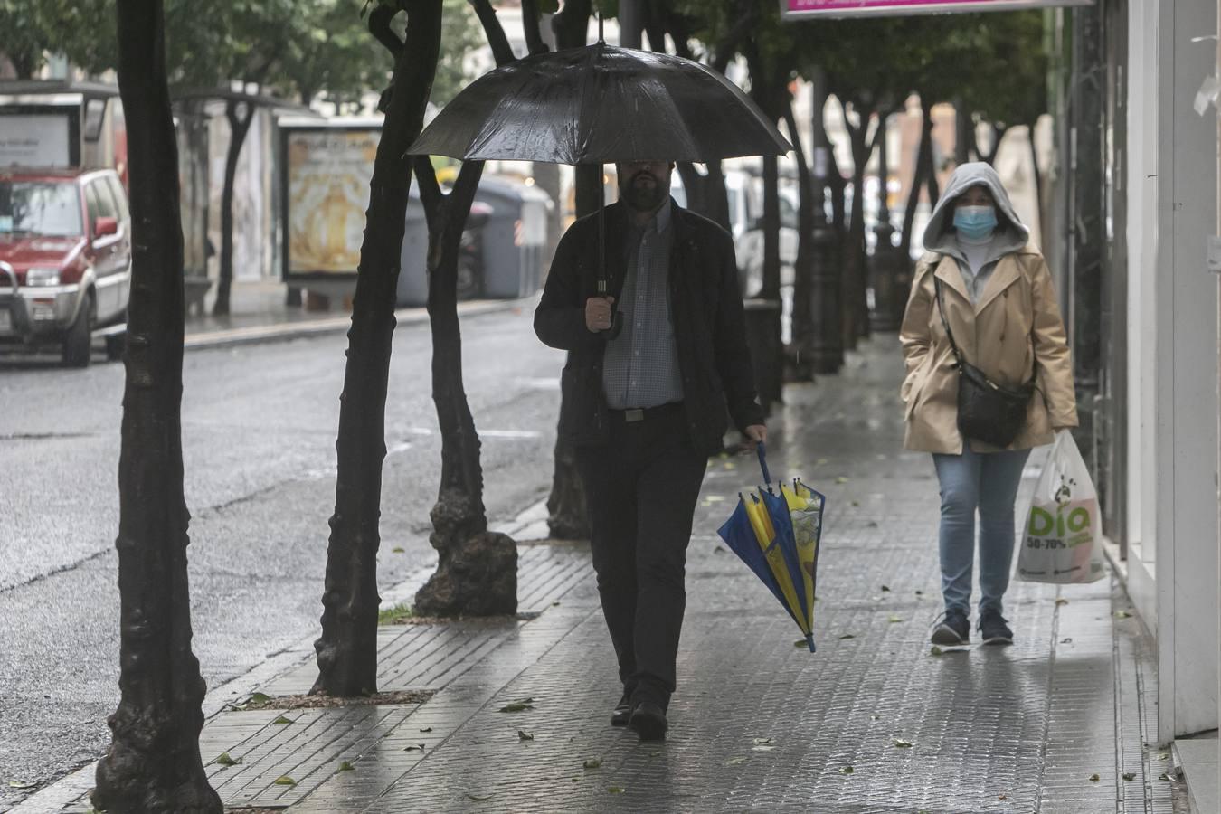 La primera lluvia en semanas en Córdoba, en imágenes