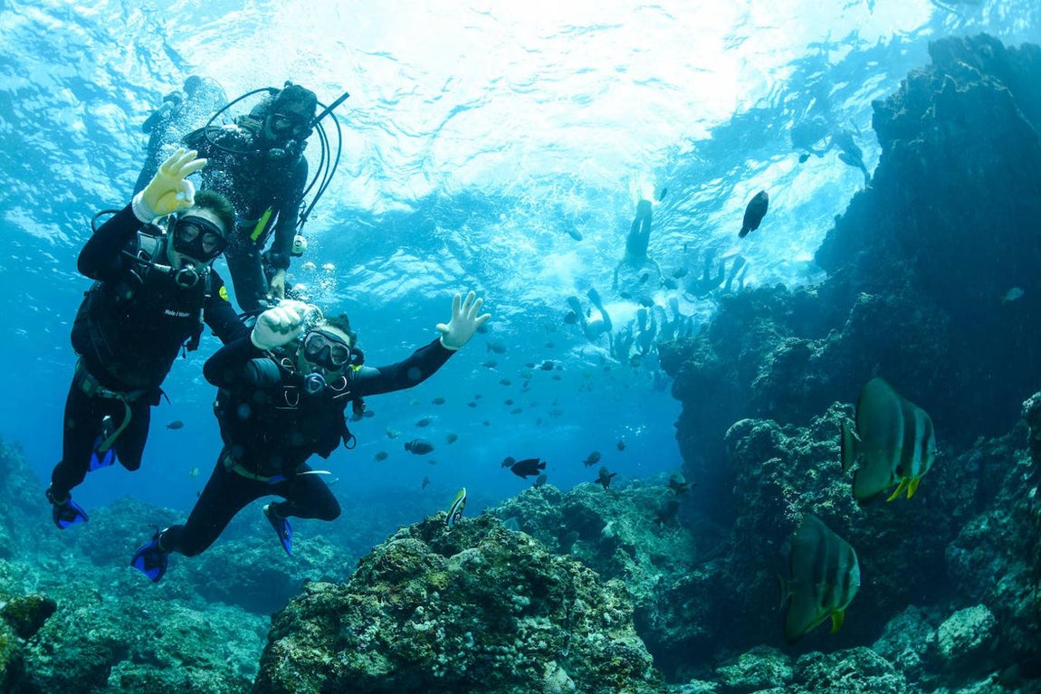 Buceo. Desde el principio de los tiempos parece haber signos de que se ha practicado el <a href="https://www.abc.es/bienestar/fitness/abci-buceo-202109201322_noticia.html">buceo </a>como fórmula para conseguir alimentos, pero también para tener riquezas como el coral o las perlas. Este tipo de buceo ha sido siempre a pulmón, sin necesidad de ningún instrumento, pero desde 1942 se usa una botella de aire comprimido que permite al sujeto respirar. Esta actividad siempre debe hacerse acompañado para no correr peligros, por lo que es fundamental desarrollar confianza en tus compañeros.