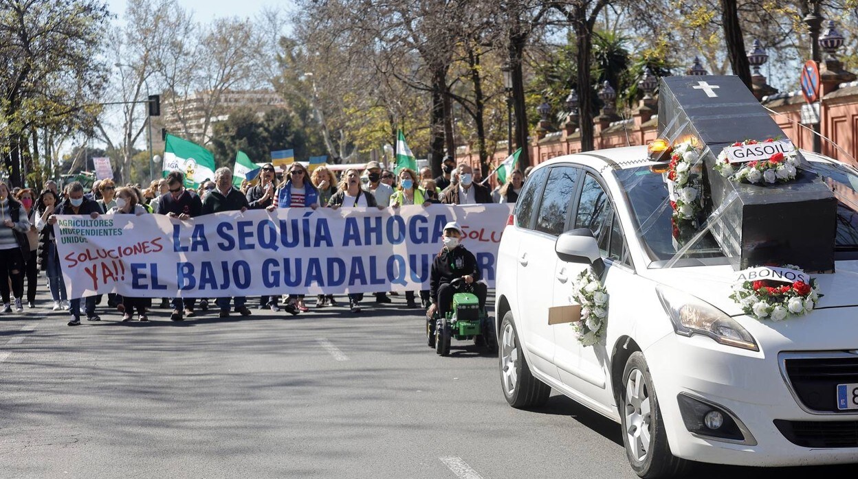 En imágenes, un centenar de agricultores del Bajo Guadalquivir y 150 tractores piden medidas contra la sequía