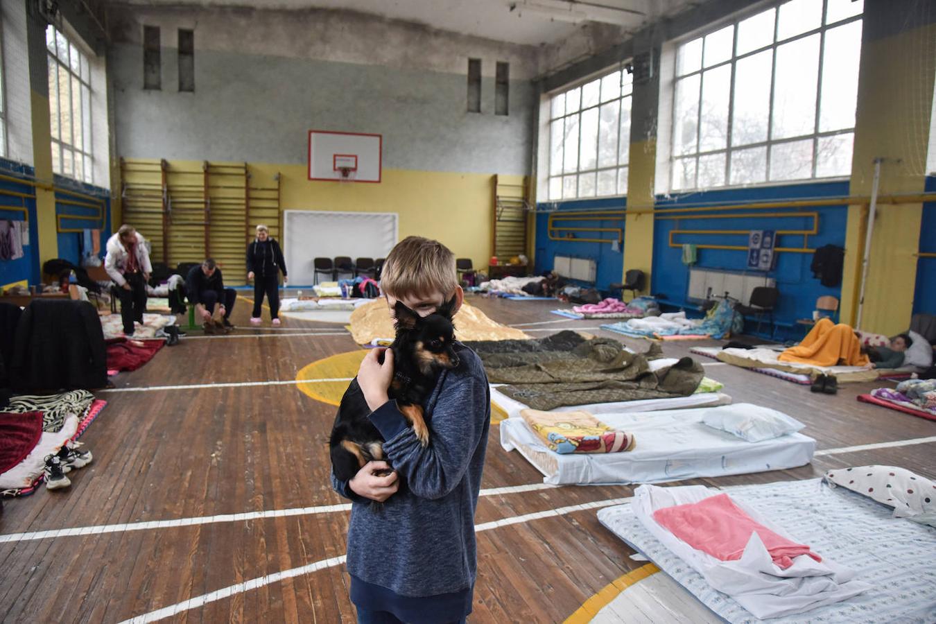 Imagen de un gimnasio escolar convertido en refugio para familias ucranianas en Leópolis. 