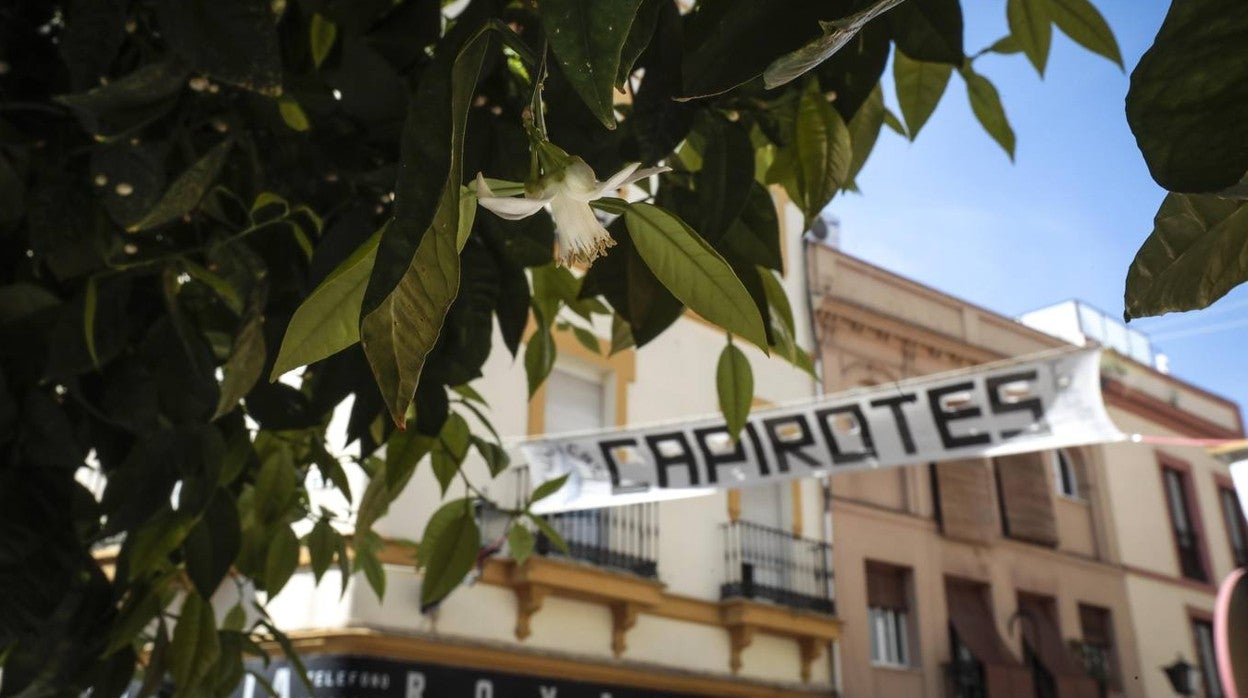 Detalles de Cuaresma anuncian la Semana Santa de Sevilla