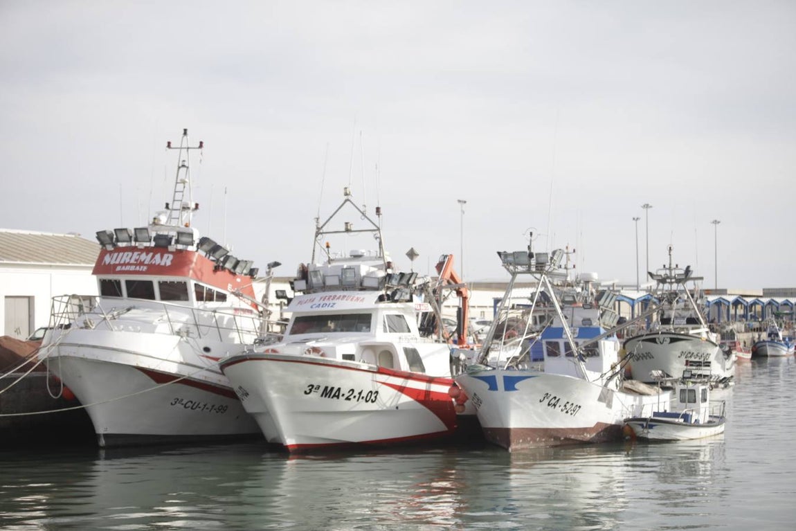 Foros: Paro indefinido de la flota de cerco de Barbate por la subida del combustible