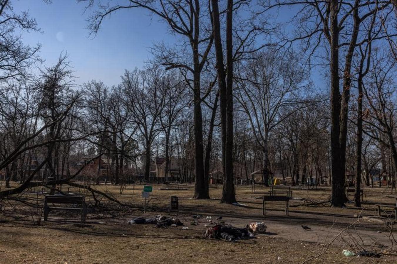 Varios cuerpos de civiles yacen en un parque de Irpin, la primera línea de guerra en la región de Kiev. 