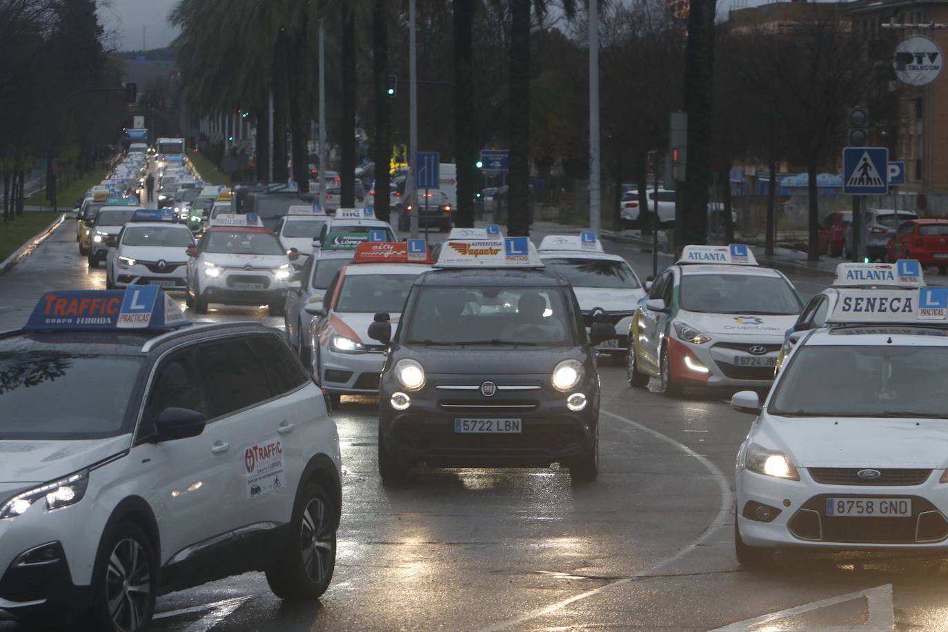 La marcha de protesta de las autoescuelas de Córdoba, en imágenes