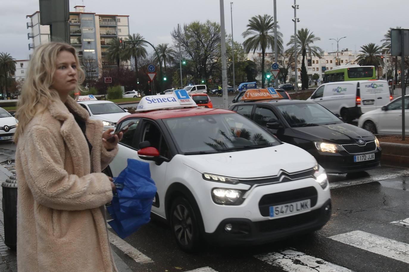 La marcha de protesta de las autoescuelas de Córdoba, en imágenes