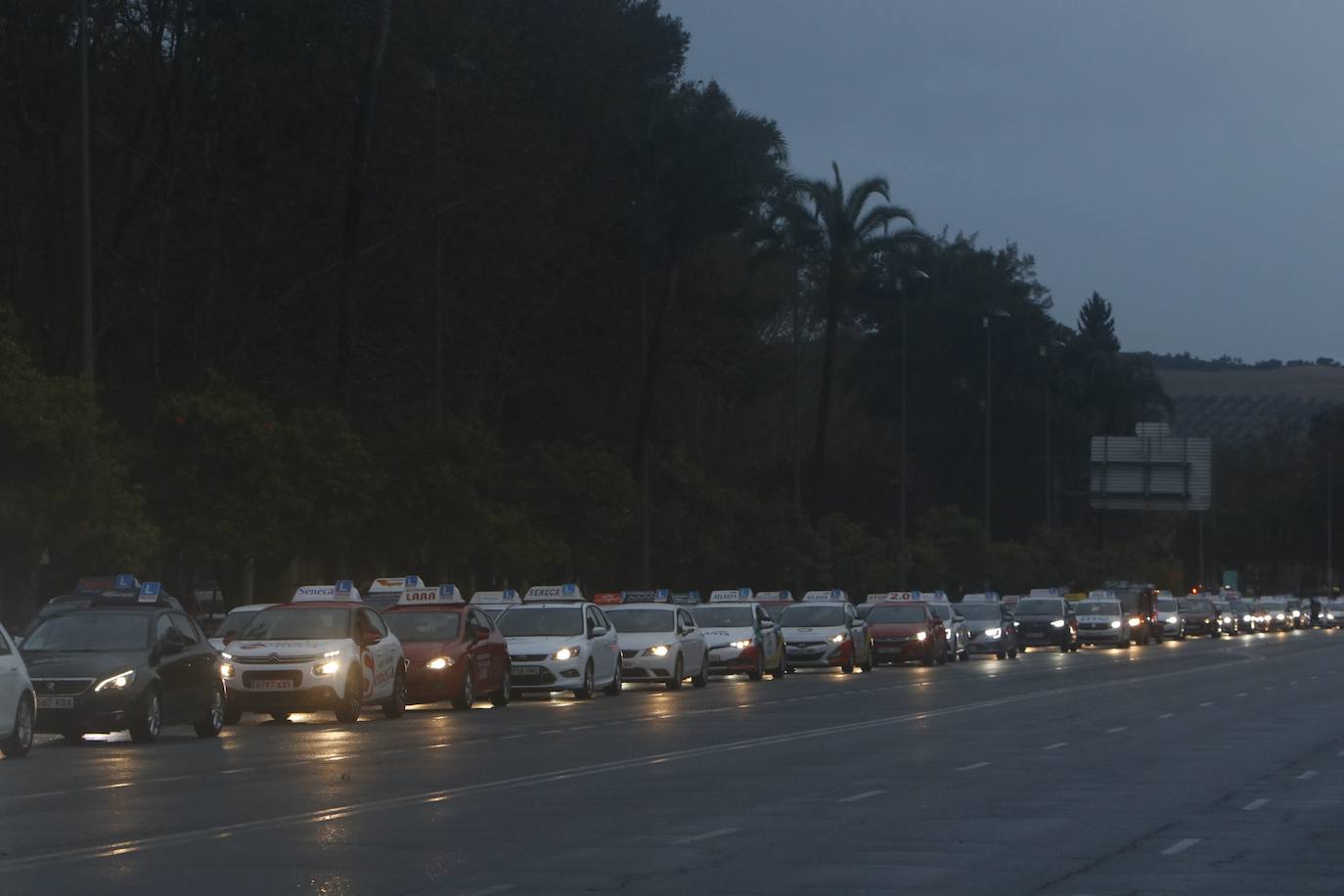 La marcha de protesta de las autoescuelas de Córdoba, en imágenes