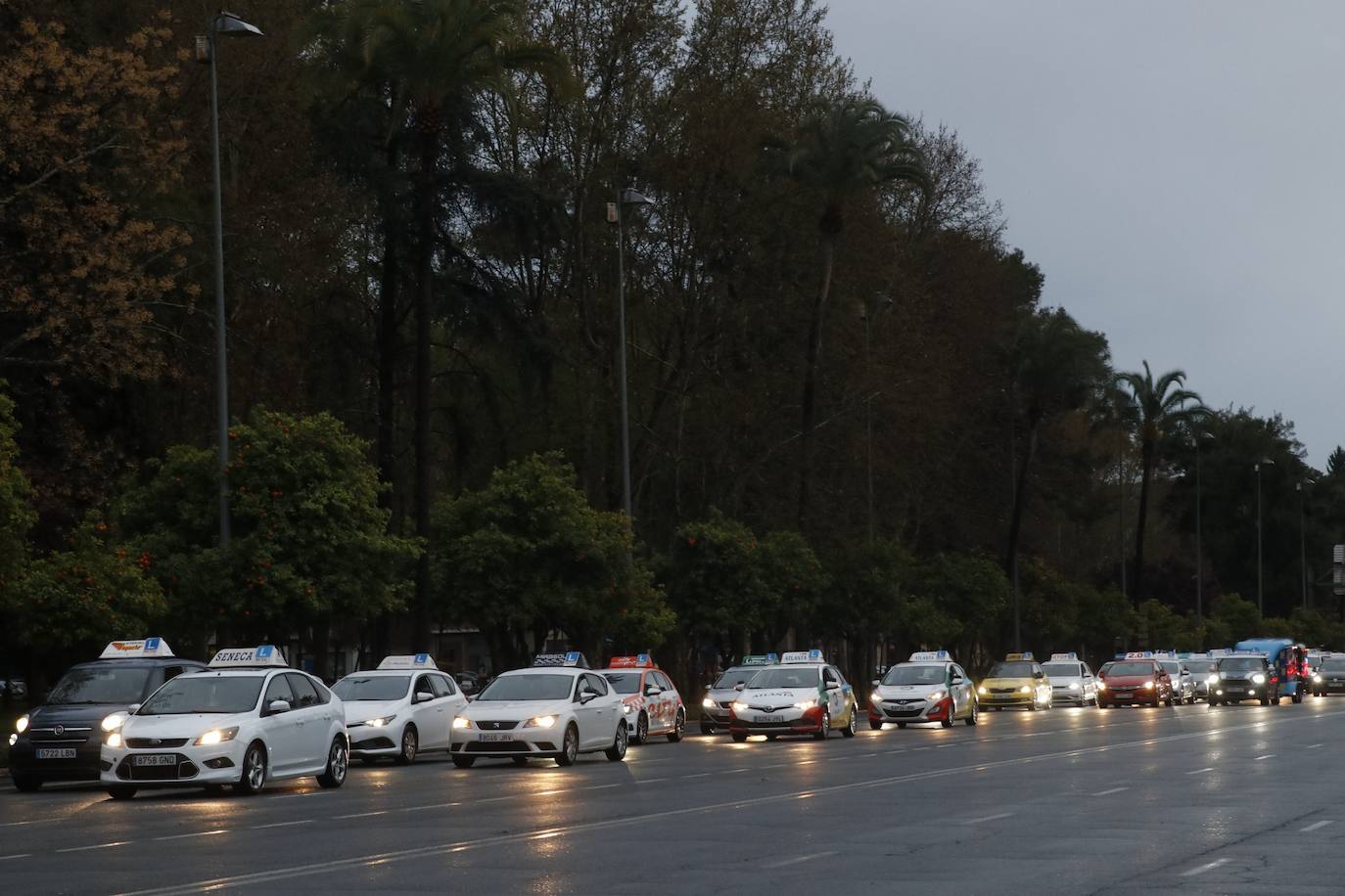 La marcha de protesta de las autoescuelas de Córdoba, en imágenes