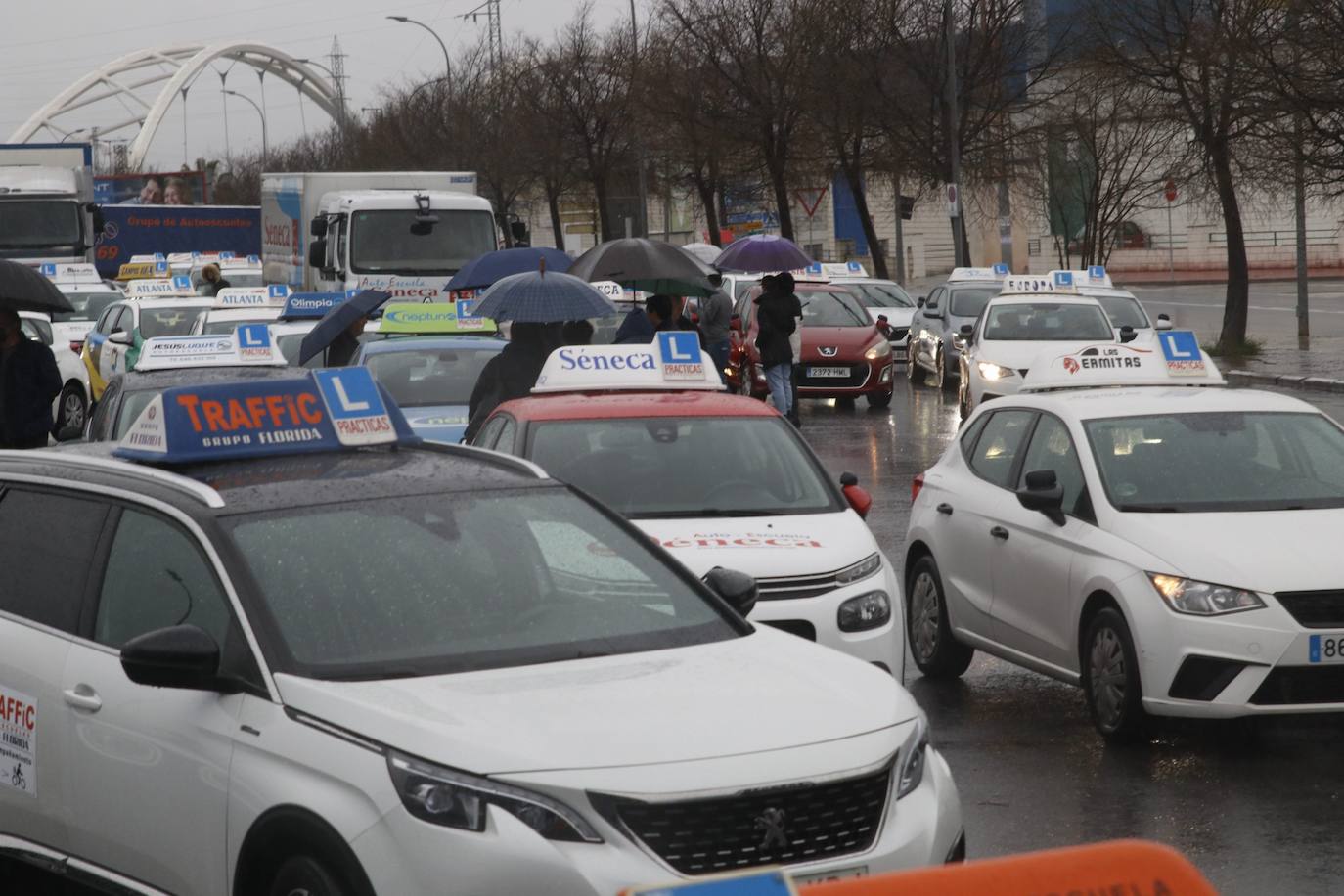 La marcha de protesta de las autoescuelas de Córdoba, en imágenes