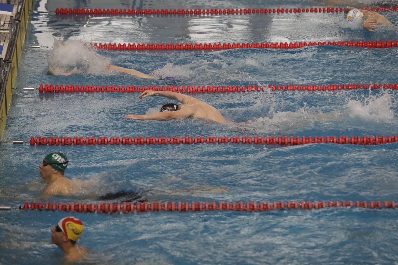 FOTOS: El Campeonato de España Infantil de natación en Cádiz