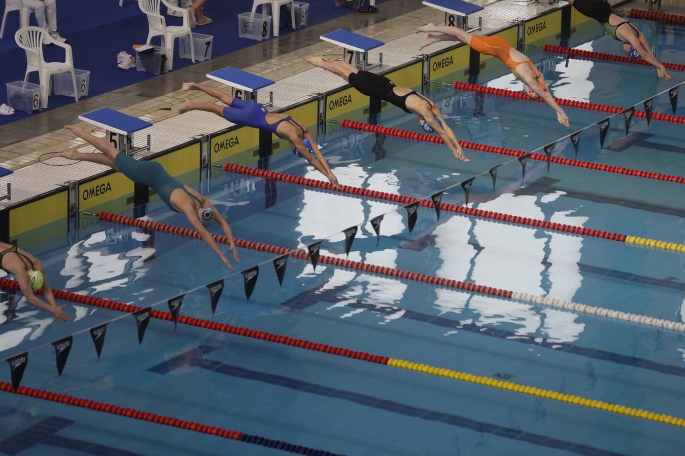 FOTOS: El Campeonato de España Infantil de natación en Cádiz